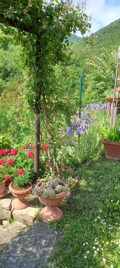 Bed and Breakfast Ca D' Fefi Gorzegno Zewnętrze zdjęcie
